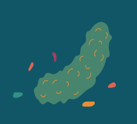 a flat graphic image of a green pickle on a teal background